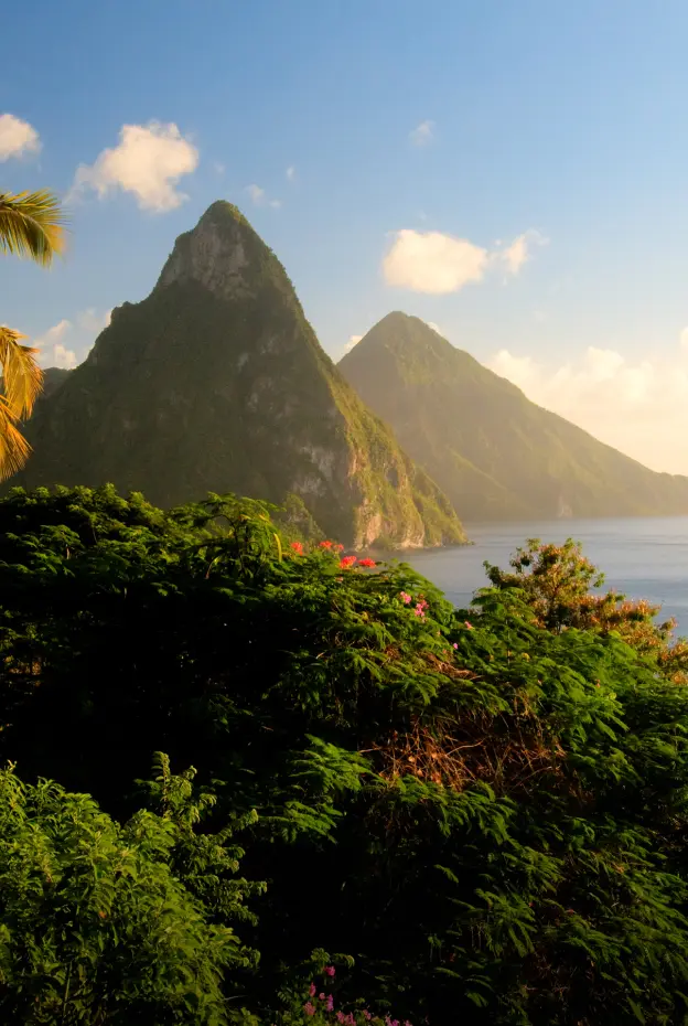 tropical plants with view of the ocean in the Caribbean