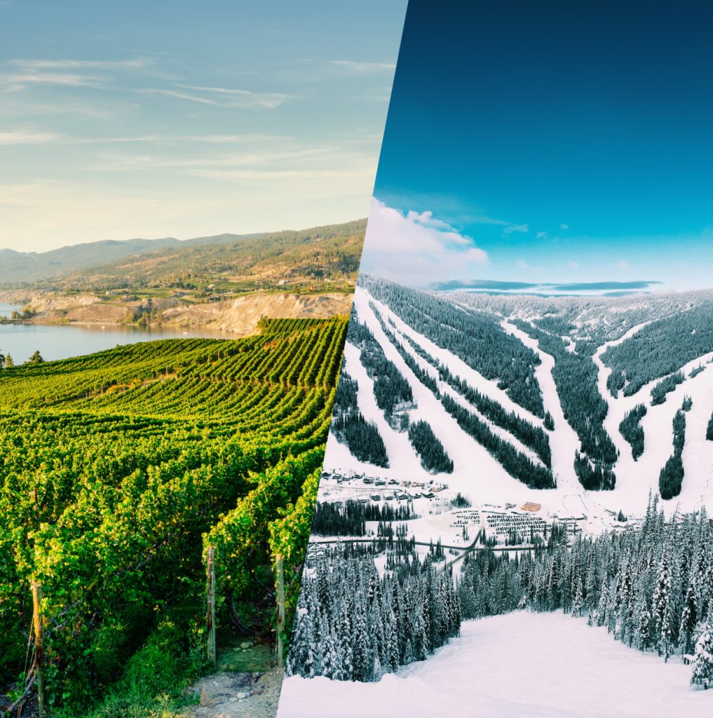 split image of vineyard by the lake in Penticton and snow covered ski hills in Sun Peaks BC